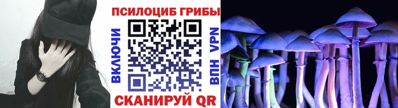 как найти закладки  Зеленокумск  Псилоцибиновые грибы Psilocybine cubensis 